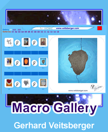 Gerhard Veitsberger /// Macrogallery 