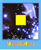 See the images