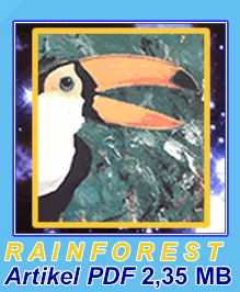 RAINFOREST Images