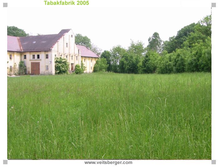 Alte Tabakfabrik 2005