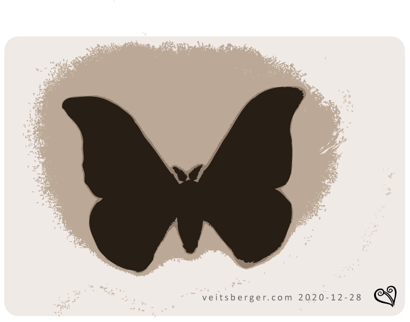 Schmetterling