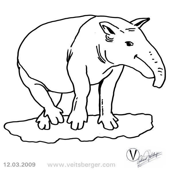 tapir and juvenile coloring pages - photo #11